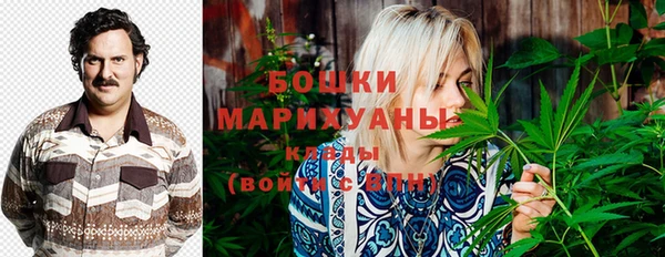 ECSTASY Бронницы